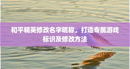 和平精英修改名字昵称，打造专属游戏标识及修改方法