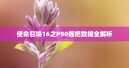 使命召唤16之P90握把数据全解析