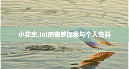 小花生.lol的奇妙探索与个人资料
