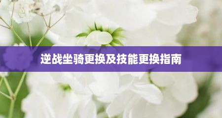 逆战坐骑更换及技能更换指南