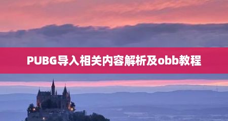 PUBG导入相关内容解析及obb教程