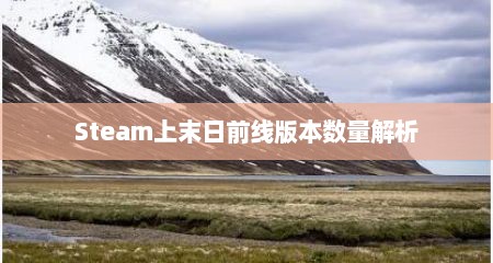 Steam上末日前线版本数量解析