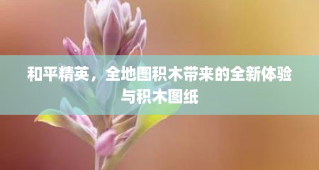 和平精英，全地图积木带来的全新体验与积木图纸