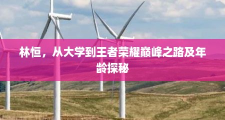 林恒，从大学到王者荣耀巅峰之路及年龄探秘