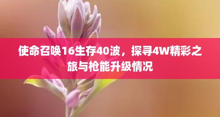 使命召唤16生存40波，探寻4W精彩之旅与枪能升级情况