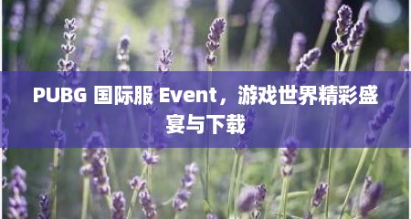 PUBG 国际服 Event，游戏世界精彩盛宴与下载