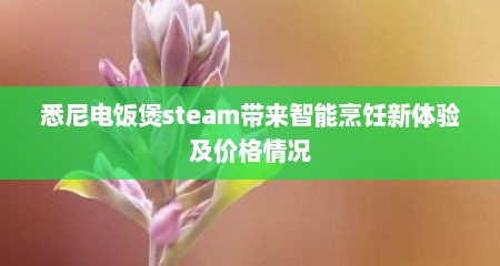 悉尼电饭煲steam带来智能烹饪新体验及价格情况