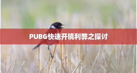 PUBG快速开镜利弊之探讨