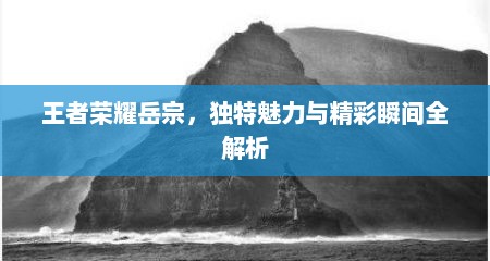 王者荣耀岳宗，独特魅力与精彩瞬间全解析