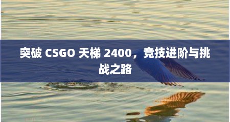突破 CSGO 天梯 2400，竞技进阶与挑战之路