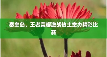 秦皇岛，王者荣耀激战热土举办精彩比赛