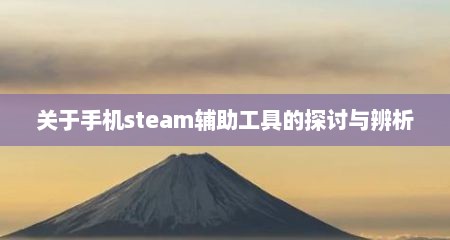 关于手机steam辅助工具的探讨与辨析