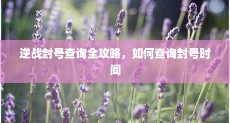 逆战封号查询全攻略，如何查询封号时间
