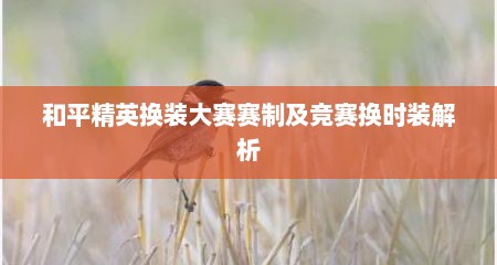 和平精英换装大赛赛制及竞赛换时装解析