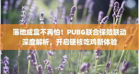 落地成盒不再怕！PUBG联合保险联动深度解析，开启硬核吃鸡新体验