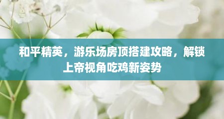 和平精英，游乐场房顶搭建攻略，解锁上帝视角吃鸡新姿势