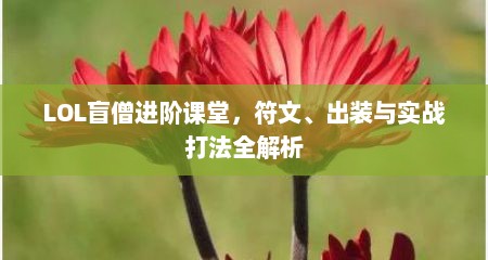LOL盲僧进阶课堂，符文、出装与实战打法全解析