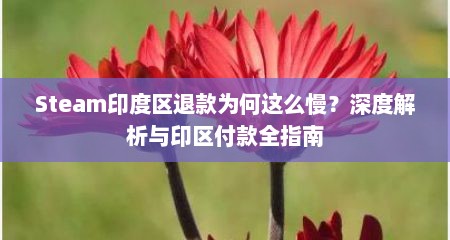 Steam印度区退款为何这么慢？深度解析与印区付款全指南