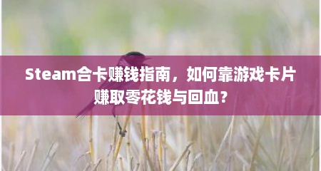 Steam合卡赚钱指南，如何靠游戏卡片赚取零花钱与回血？
