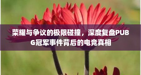 荣耀与争议的极限碰撞，深度复盘PUBG冠军事件背后的电竞真相