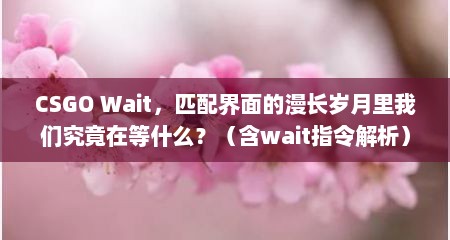 CSGO Wait，匹配界面的漫长岁月里我们究竟在等什么？（含wait指令解析）