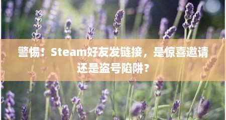警惕！Steam好友发链接，是惊喜邀请还是盗号陷阱？