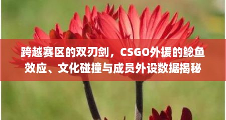 跨越赛区的双刃剑，CSGO外援的鲶鱼效应、文化碰撞与成员外设数据揭秘