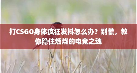 打CSGO身体疯狂发抖怎么办？别慌，教你稳住燃烧的电竞之魂
