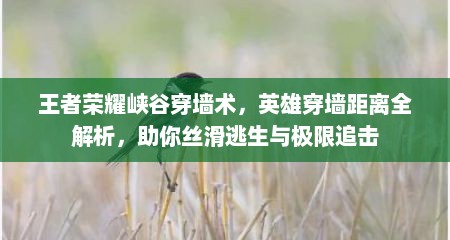 王者荣耀峡谷穿墙术，英雄穿墙距离全解析，助你丝滑逃生与极限追击