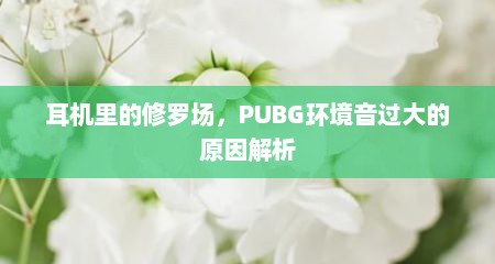 耳机里的修罗场，PUBG环境音过大的原因解析