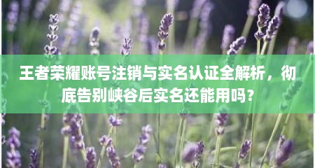 王者荣耀账号注销与实名认证全解析，彻底告别峡谷后实名还能用吗？