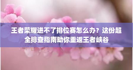 王者荣耀进不了排位赛怎么办？这份超全排查指南助你重返王者峡谷