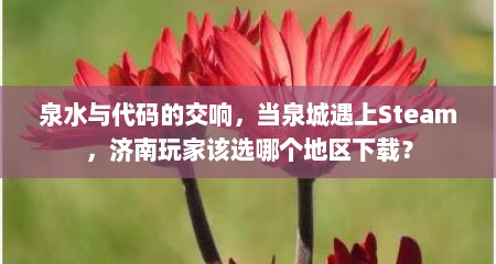 泉水与代码的交响,当泉城遇上Steam,济南玩家该选哪个地区下载?