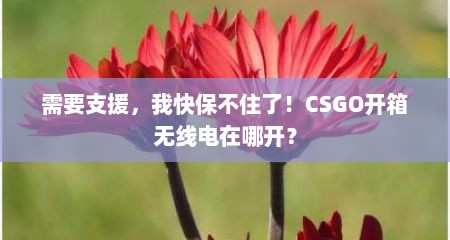 需要支援，我快保不住了！CSGO开箱无线电在哪开？