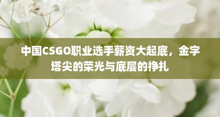 中国CSGO职业选手薪资大起底，金字塔尖的荣光与底层的挣扎