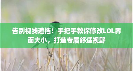 告别视线遮挡！手把手教你修改LOL界面大小，打造专属舒适视野