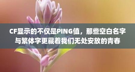 CF显示的不仅是PING值，那些空白名字与繁体字更藏着我们无处安放的青春