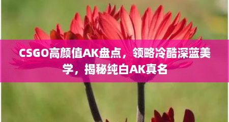 CSGO高颜值AK盘点，领略冷酷深蓝美学，揭秘纯白AK真名