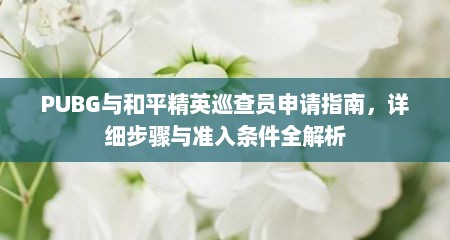 PUBG与和平精英巡查员申请指南，详细步骤与准入条件全解析