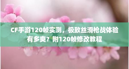 CF手游120帧实测，极致丝滑枪战体验有多爽？附120帧修改教程