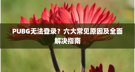 PUBG无法登录？六大常见原因及全面解决指南