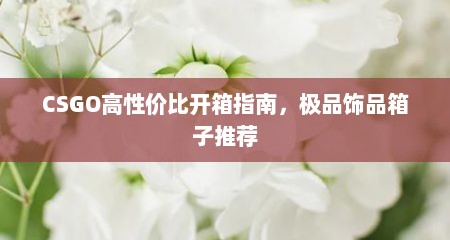 CSGO高性价比开箱指南，极品饰品箱子推荐