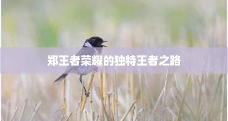 郑王者荣耀的独特王者之路