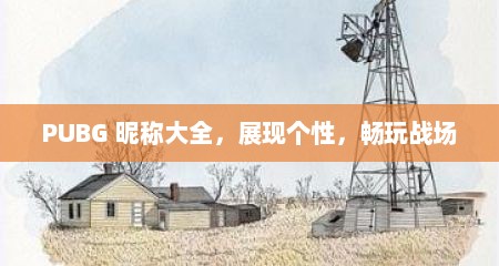 PUBG 昵称大全，展现个性，畅玩战场