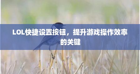 LOL快捷设置按钮，提升游戏操作效率的关键