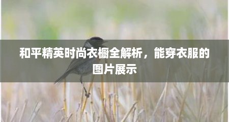 和平精英时尚衣橱全解析，能穿衣服的图片展示