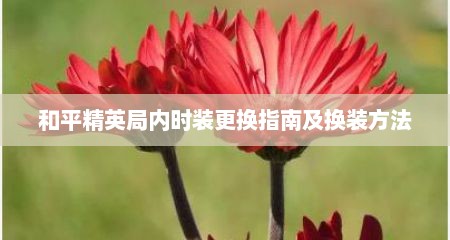 和平精英局内时装更换指南及换装方法