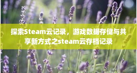 探索Steam云记录，游戏数据存储与共享新方式之steam云存档记录