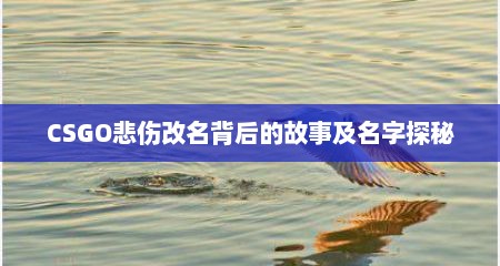 CSGO悲伤改名背后的故事及名字探秘