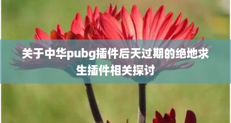 关于中华pubg插件后天过期的绝地求生插件相关探讨